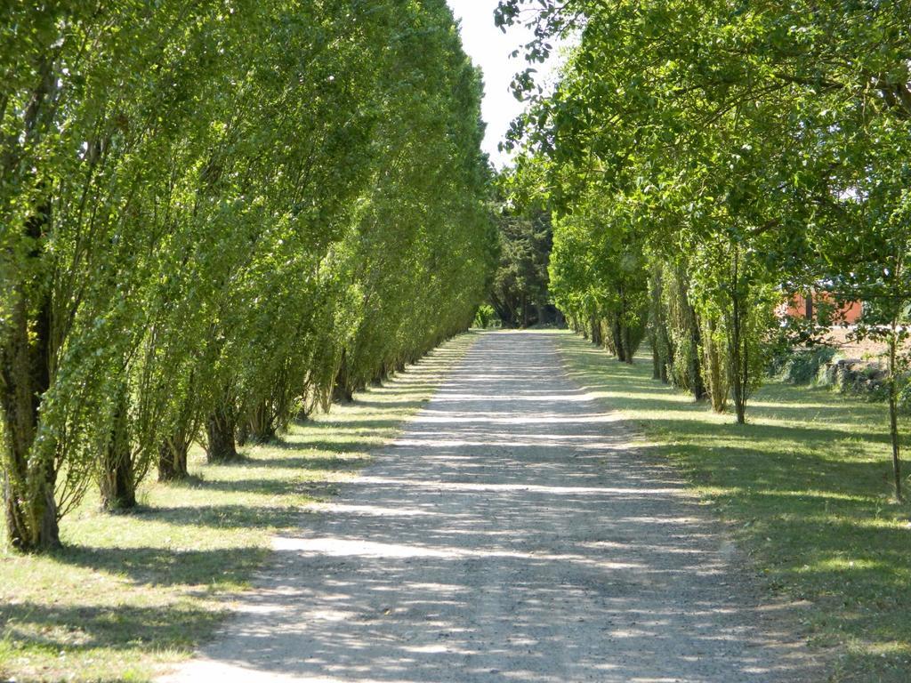 Gite De Cray Lussault-sur-Loire Luaran gambar