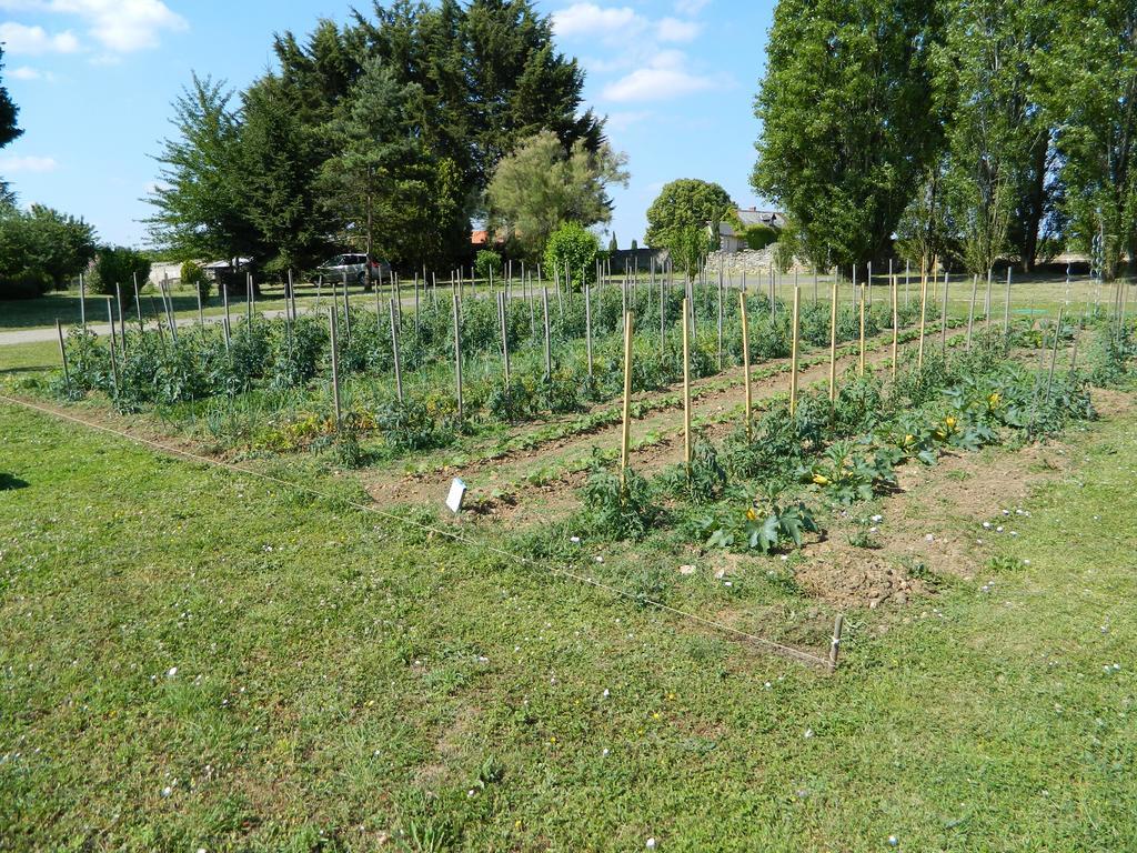Gite De Cray Lussault-sur-Loire Luaran gambar